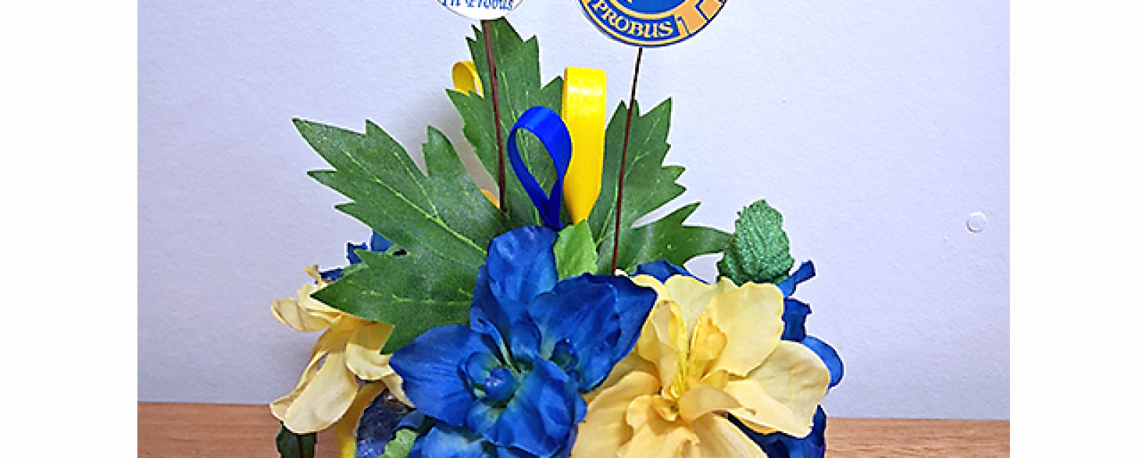 Everton Probus celebrates 20 years of women members